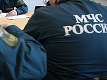 МЧС распространило экстренное предупреждение о тумане в Москве