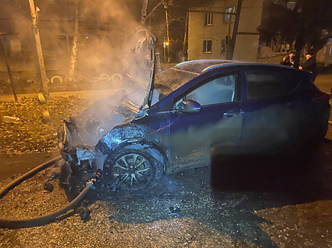 В Суходоле 10 декабря сгорела иномарка