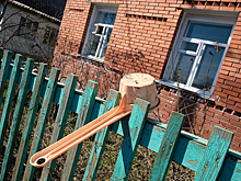 Росреестр выявил почти 340 фактов самовольного захвата земли в Кузбассе