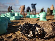 Туристы искупались в море Анапы среди дельфинов и пятен мазута