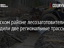 В Лужском районе лесозаготовители повредили две региональные трассы