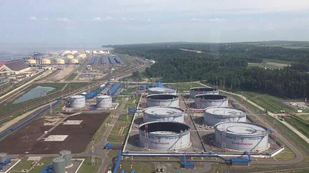 Газохимический комплекс в Усть-Луге станет крупнейшим в мире по объемам производства полиэтилена