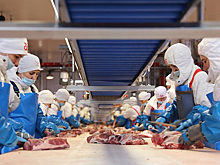 «Агро-Белогорье» планирует сохранить темпы мясопереработки в 2022 году