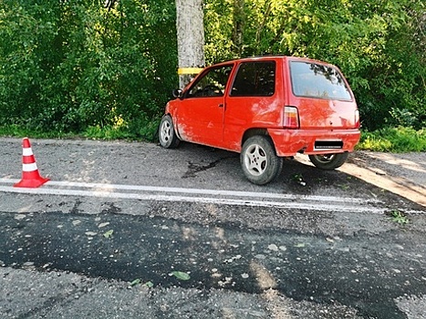 Под Полесском пьяный водитель не справился с рулём и через двойную сплошную вылетел в дерево