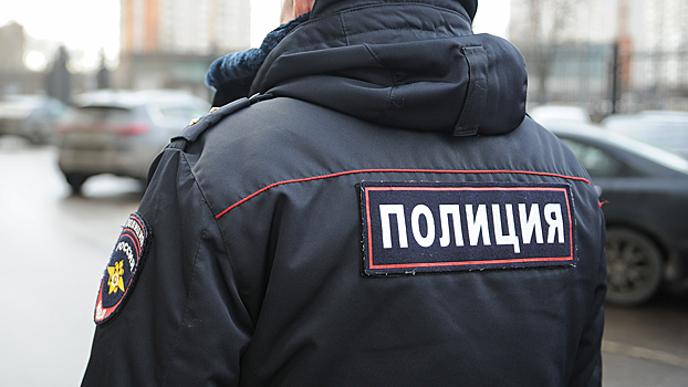 Двоих молодых людей задержали за два нападения на прохожих в течение трех часов в центре Москвы