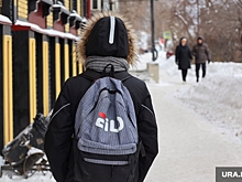 МВД наградит пенсионера, сбившего с ног вора телефона у школьника