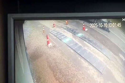 В Ростовской области грузовик задавил инспектора и попал на видео