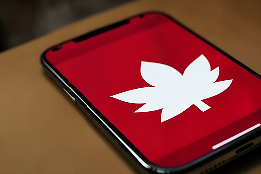 Канада проведет проверку безопасности китайского TikTok
