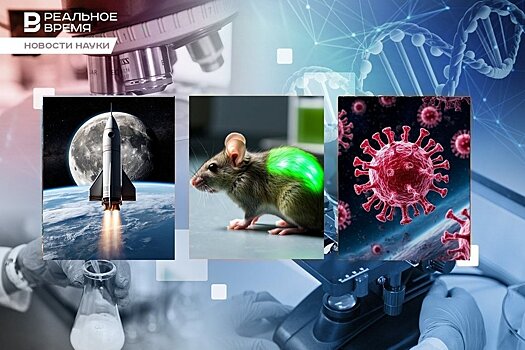 Мутации вирусов в космосе, живой датчик воспаления и лунная миссия "Артемида-2"