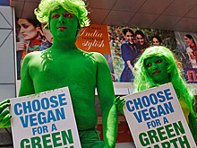 Озеленились