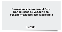 Замглавы исполкома «ЕР» в Калининграде уволили за оскорбительные высказывания