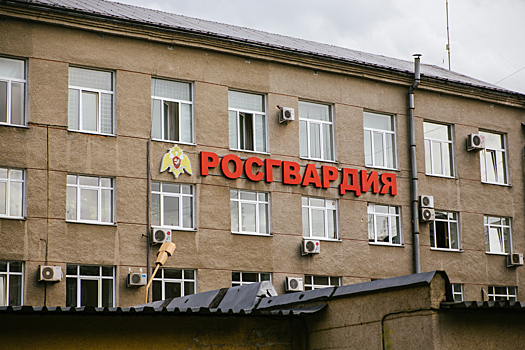 Пожилой мужчина пропал в кузбасском лесу во время сбора черемши