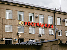 Пожилой мужчина пропал в кузбасском лесу во время сбора черемши