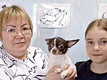 На Ямале зарегистрировали 15-тысячного питомца