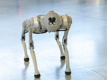 Робопес-полицейский в Астане научился работать с базами розыска и развлекать законопослушных граждан