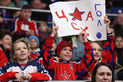 В КХЛ высказались о перспективах введения Fan ID