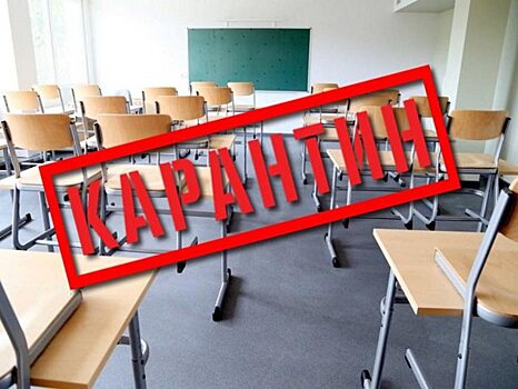 В Саратовской области на карантин в конце января закрыты 12 школ