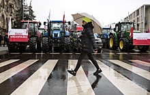 Польша запретила ввоз более 100 тонн агропродукции с Украины