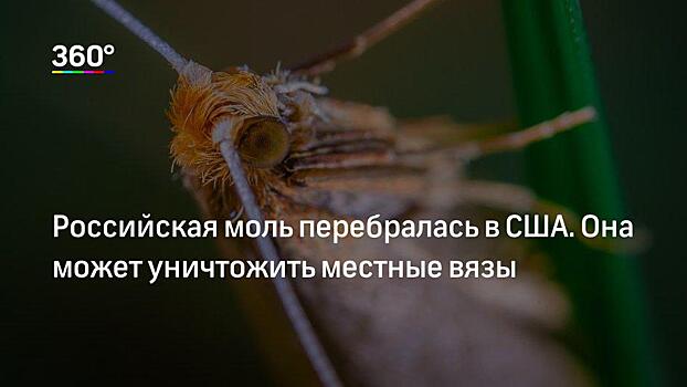 Наводнения, торнадо и затопленные дороги: в США 37 человек погибли от урагана «Флоренс»