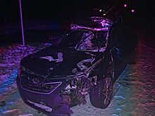 В Верхошижемском районе молодой человек на «Тойоте» сбил лося