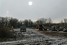 Вырубку Волго-Ахтубинской поймы сравнили с вырубкой леса в Троицке ради строительства школы