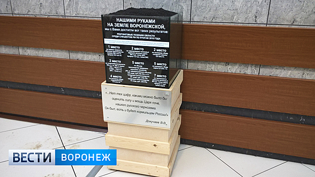 Воронежцы заметили на городском Центральном рынке куб чернозёма