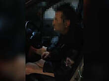 В Подмосковье на видео попал водитель без штанов, устроивший ДТП