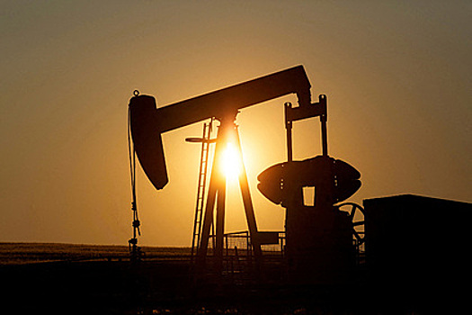 В МИДе заявили о нежелании России продавать нефть себе в убыток