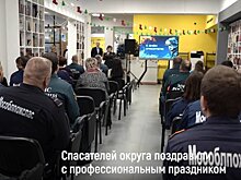Спасателей Шатуры поздравили с профессиональным праздником