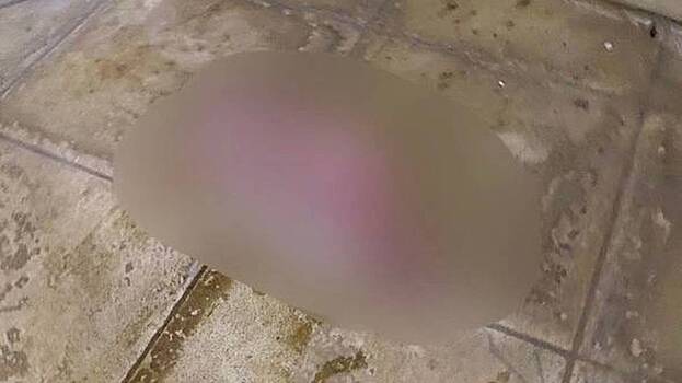 Тело младенца обнаружили на насосной станции в ТиНАО