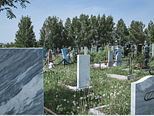 Белгородская область показала повышенную смертность по сравнению с остальным регионом