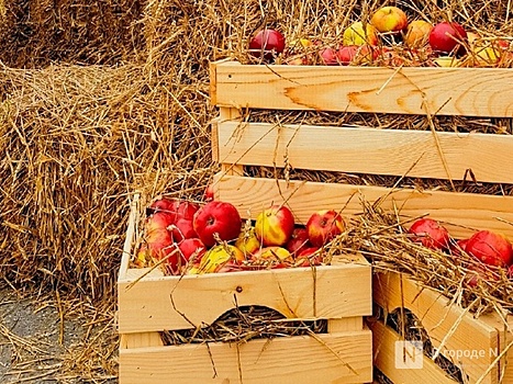 Некачественную крупу обнаружили в нижегородской больнице