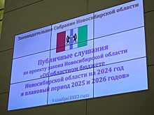 Общественностью региона одобрен проект бюджета Новосибирской области на 2024 год