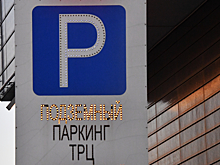 В Петербурге хотят смягчить правила оплаты парковки