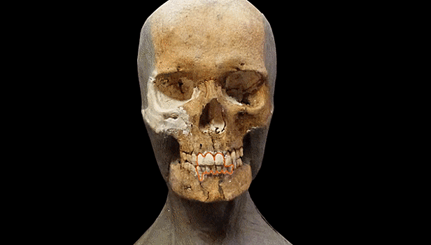 Антропологическая реконструкция: как восстановить черты лица по черепу