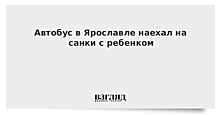 Автобус сбил двухлетнего ребенка на пешеходном переходе в Ярославле