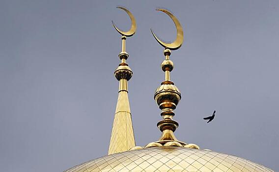 Взрывоопасная «многоходовка»: Во дворы мечетей полетели головы свиней