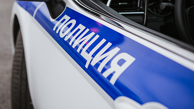 В Красноярском крае полицейские применили табельное оружие для задержания нетрезвого водителя