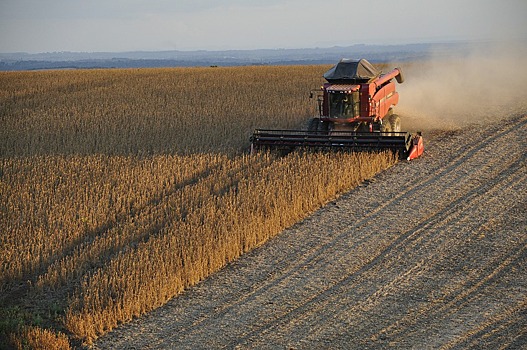 Пензенская область замыкает тройку лидеров в ПФО по урожайности