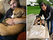 10 человек, которые недолюбливали собак — но не смогли устоять перед их обаянием