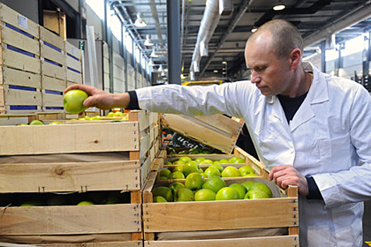 Россельхознадзор введет предварительное уведомление при реэкспорте яблок из ЕС