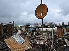 В Курской области раскрыли число жертв после вторжения ВСУ в регион