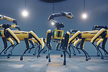 Boston Dynamics научила робопсов танцевать