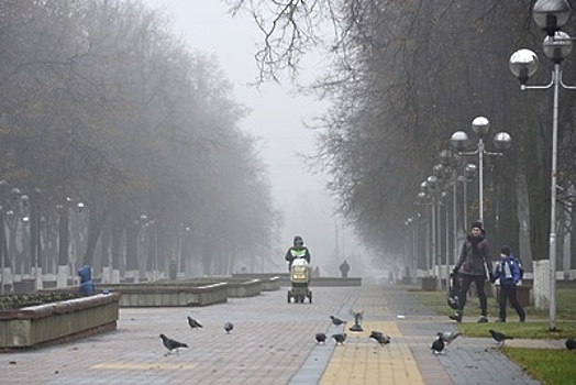 «Желтый» уровень опасности из‑за тумана объявили в Московском регионе на 12–13 ноября