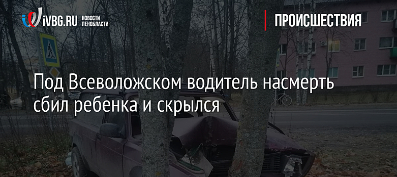 Под Всеволожском водитель насмерть сбил ребенка и скрылся