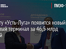 В порту «Усть-Луга» появится новый торговый терминал за 46,5 млрд рублей