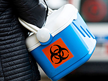 Захарова рассказала о военно-биологической активности на Украине