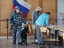 Сибирские аномалии и «горячие» точки: итоги первых двух дней выборов Госдумы