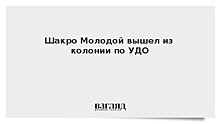 Адвокат: Криминального авторитета Шакро Молодого увезли в больницу