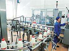 Как устроен рынок молока: разбираемся в нюансах производства и ценообразовании